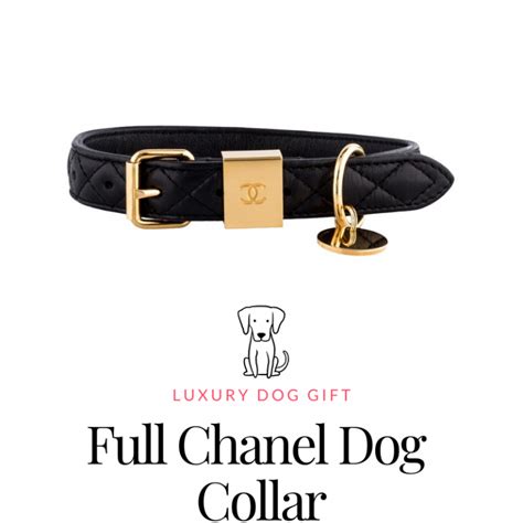 full Chanel dog collar reviews